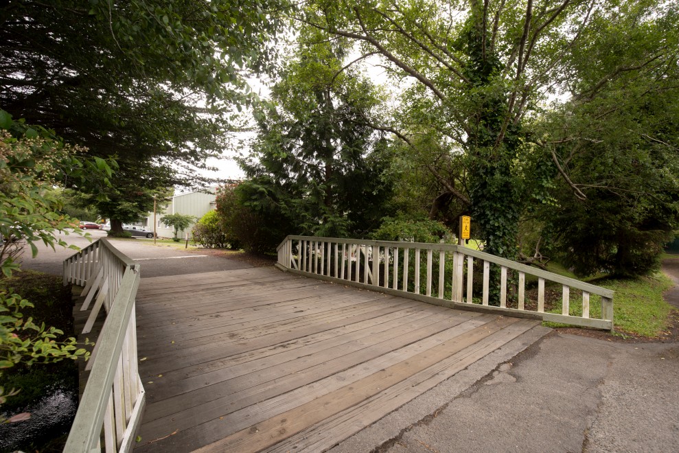 Slideshow // Image 5