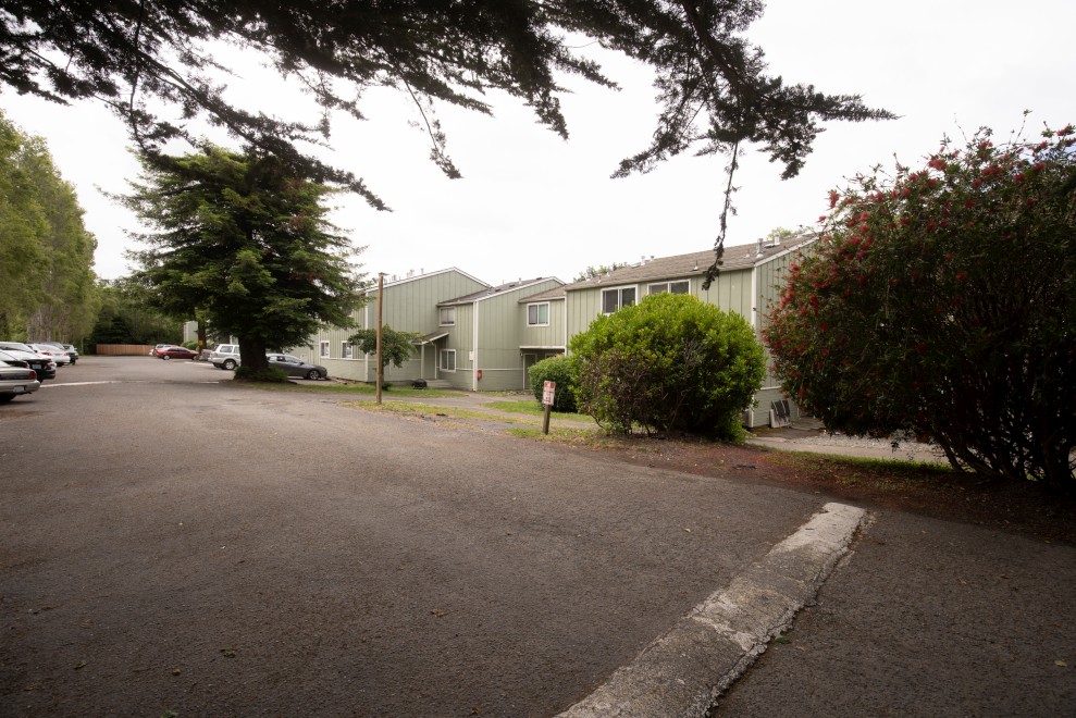 Slideshow // Image 6